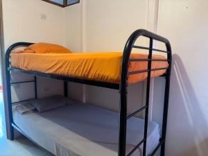 Letto a castello in camera accanto a un muro di Kalunay Hostel a Puerto Viejo