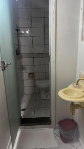 ブラジリアにあるFlat Aconchego Brasília - Sudoesteのトイレと洗面台のあるバスルーム
