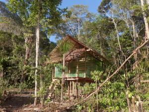 a tree house in the middle of the forest at Cuchira Lodge in Leticia
