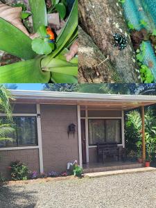 two pictures of a house with a bird on a plant at The Bees House in Fortuna