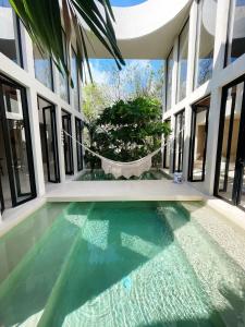 ein Pool in einem Haus mit einem Baum in der Unterkunft Tulum Country club casa pokolpok in Chacalal