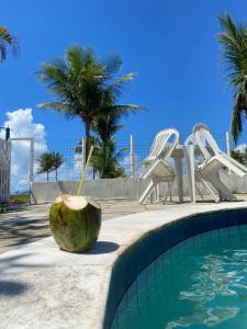 a coconut sitting next to a swimming pool with chairs at Sol Mar Hostel in Santo Agostinho +40 photos