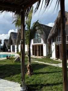 a house with a palm tree in front of it at Blue Beach Eco-Hotel by Sanfabini in Bayahibe