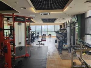 Fitness centrum a/nebo fitness zařízení v ubytování Central Street Apartment 1