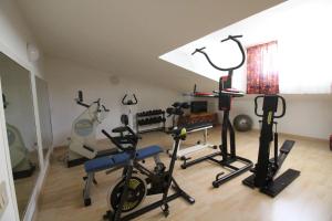 Fitness centrum a/nebo fitness zařízení v ubytování Hotel Eraclea