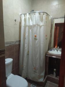 a bathroom with a shower curtain and a toilet at Cabañas Inti Huasi in Tafí del Valle