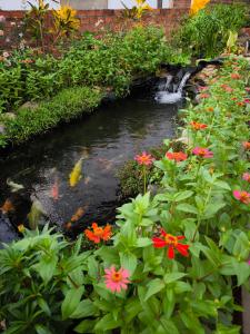 a pond in a garden with flowers at Dok Champa Resort in Vang Vieng