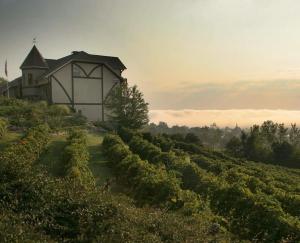 a house sitting on top of a field of vines at NEW! VillaBella Luxury Farmhouse in Hermann