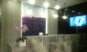 Μια τηλεόραση ή/και κέντρο ψυχαγωγίας στο Lavande Hotels Dalian Software Park University of Technology