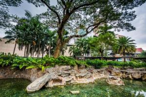 a park with a tree and a pool of water at Capital O 804 The Residences at Bonifacio Civic Center in Manila