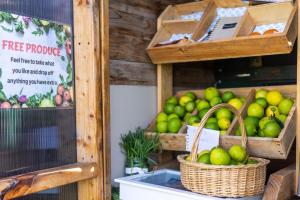 Cibo presso la casa vacanze o nelle vicinanze
