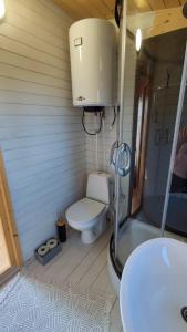 a bathroom with a toilet and a shower and a sink at Saaremaa saunakompleks Kanissaarel in Kanissaare