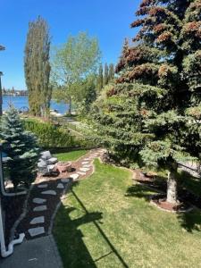 a view of a garden with a tree and a bench at Calgary Lake House B&B in Calgary