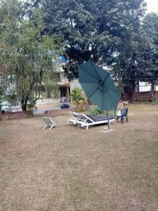 Vrt pred nastanitvijo Butterfly Lodge