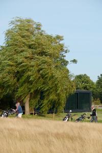 two people riding bikes in front of a tree at Grend Stavern in Larvik
