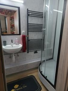 ein Badezimmer mit Glasdusche und Waschbecken in der Unterkunft 1-ZApp "TRENDHAUS-1" Zentrum! in Hofgeismar