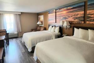 Postel nebo postele na pokoji v ubytování Days Inn by Wyndham Rosenberg