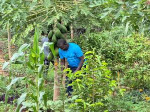 Gallery image of Summit Retreat in Moshi