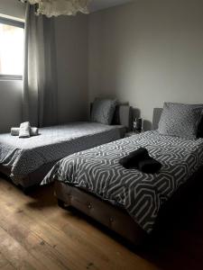 a bedroom with two beds and a window at les bambous in Mas-Saintes-Puelles