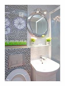a bathroom with a sink and a mirror and a toilet at Sarajevo Apartments No.5 in Sarajevo +44 photos
