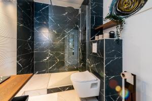 ein Bad mit einem WC und einer schwarz gefliesten Wand in der Unterkunft Very nice apartment in Mulhouse Lambert city center in Mulhouse