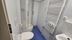 Ein Badezimmer in der Unterkunft Baurů Dvůr