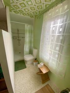 ein kleines Badezimmer mit Toilette und Dusche in der Unterkunft Les ambiances du Coly, La chambre Vézère in Condat-sur-Vézère
