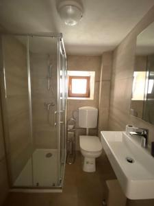 a bathroom with a shower and a toilet and a sink at Alto Mare Apartments in Selce +20 photos