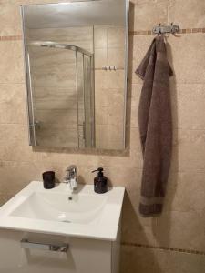 a bathroom with a white sink and a mirror at Alto Mare Apartments in Selce