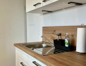 a kitchen counter with a sink and a roll of paper towels at Ferienwohnung Brandung - Haus Seeschwalbe in Schillig