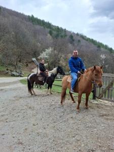 Gallery image of Traditionelles Ferienhaus in Nordmazedonien auf 1800 m Höhe in Ložani