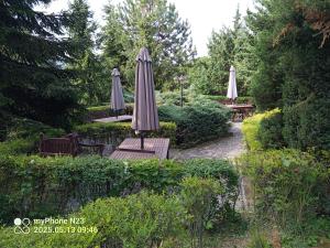 a group of umbrellas and benches in a garden at penzión ARTUR - Partizánske in Partizánske
