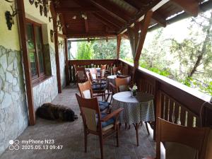 a balcony with tables and chairs and a dog laying on the floor at penzión ARTUR - Partizánske in Otilia