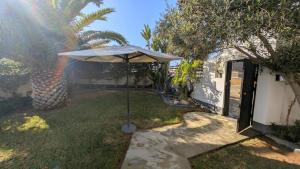 an umbrella in the yard of a house at Amarachi Guesthouse in Swakopmund
