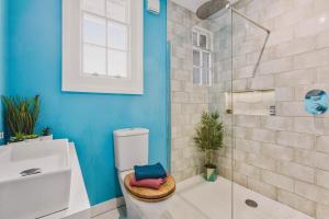 a bathroom with a toilet and a glass shower at Little Redlap - Delightful views near Dartmouth in Dartmouth