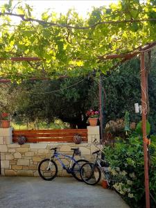 Ποδηλασία στο Ξενώνας Ελιά ή στη γύρω περιοχή