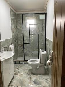 a bathroom with a toilet and a sink at Apartament Cristian in Cîmpia Turzii