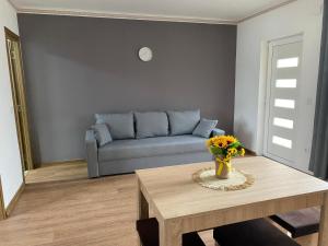 a living room with a couch and a table at Apartament Cristian in Cîmpia Turzii