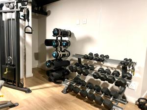 a fitness room with a bunch of weights at The Tokyo 1211 in Cape Town