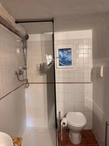 een badkamer met douche en toilet bij Casa San Rocco in Pitigliano +22 foto's