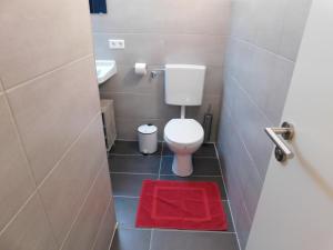 ein Badezimmer mit einem WC und einem roten Teppich in der Unterkunft Ferienwohnung Winterberg in Winterberg