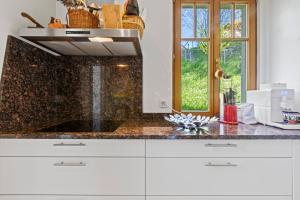 Cucina o angolo cottura di Grand chalet rustique à Gryon, avec vue et cheminée