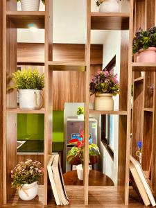 Văn TrìCăn hộ tiện nghi tại 214 Phú Diễn的一间有架子的房间,上面有盆栽植物 更多6张照片