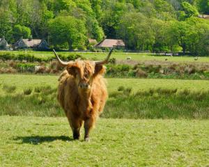 Billede fra billedgalleriet på Blaeberry Cottage i Killean