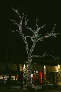 Fotografie z fotogalerie ubytování Casacon Music Hotel Sirolo v destinaci Sirolo