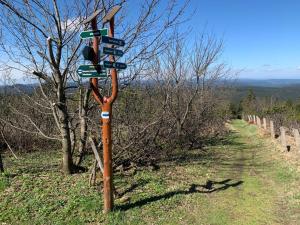 Phong cảnh thiên nhiên gần căn hộ