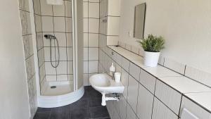 ein weißes Badezimmer mit Waschbecken und Dusche in der Unterkunft Baurů Dvůr in Zdíkov
