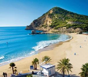 a beach with palm trees and the ocean at Cozy apartment in Benidorm in Villajoyosa