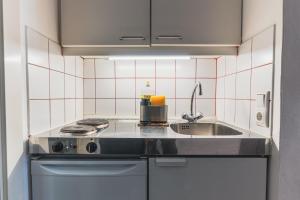 a small kitchen with a sink and a stove at Im Herzen von Bad Ischl #1 in Bad Ischl