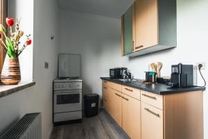 a kitchen with a counter top with a stove and a microwave at Zentral am Fluss #2 in Bad Ischl